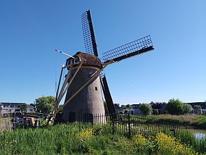 43667